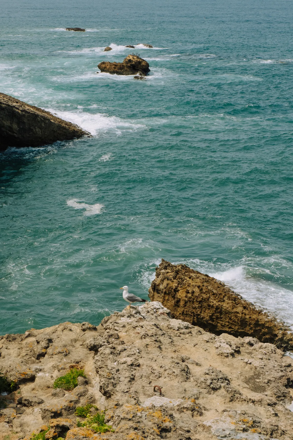 Biarritz, 2025