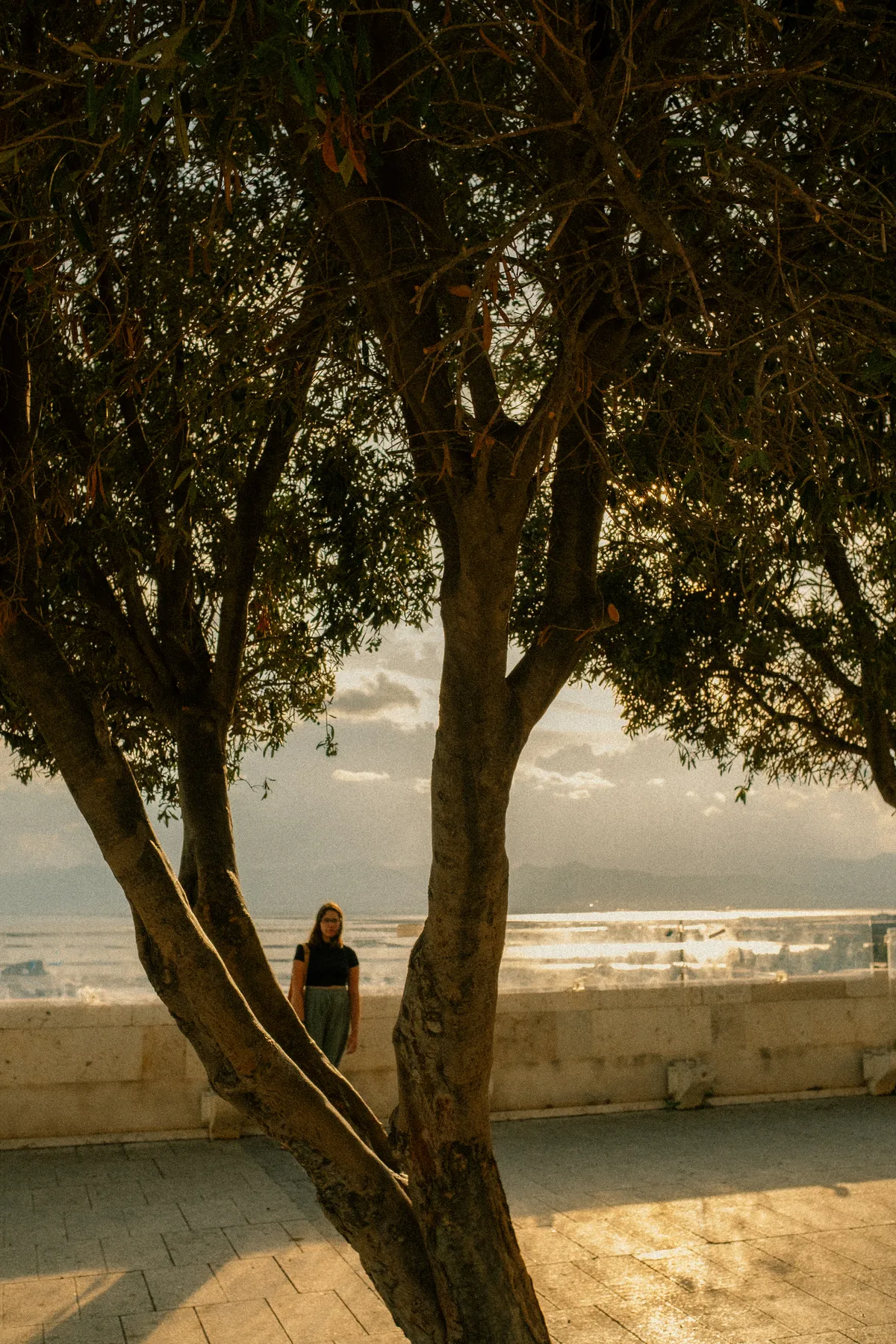 Sardinia, 2025